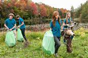 Phot of a group of teenage students working together.