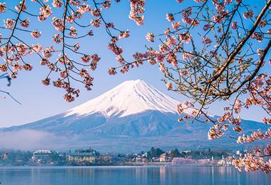 Photo of a natural scenery: forest, seaside, mountains, etc.