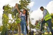 People planting trees in community