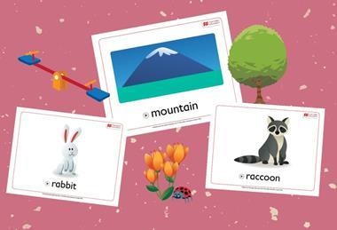 Interactive Flashcards: Exploring Nature